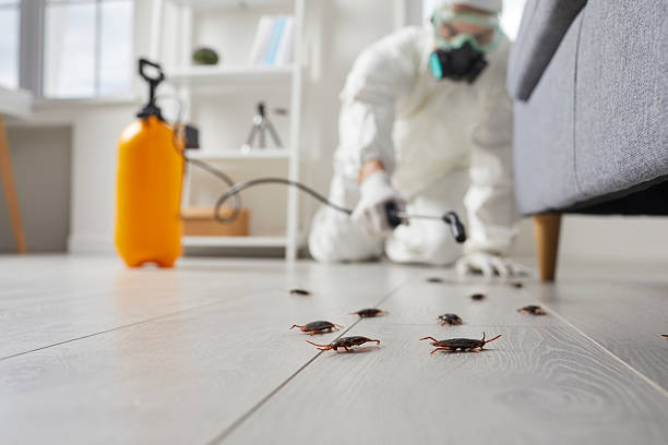 Post-Treatment Bed Bug Interceptor Monitoring in Osceola