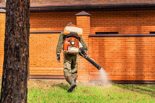 Bed Bug Clearance Verification and Documentation in Osceola